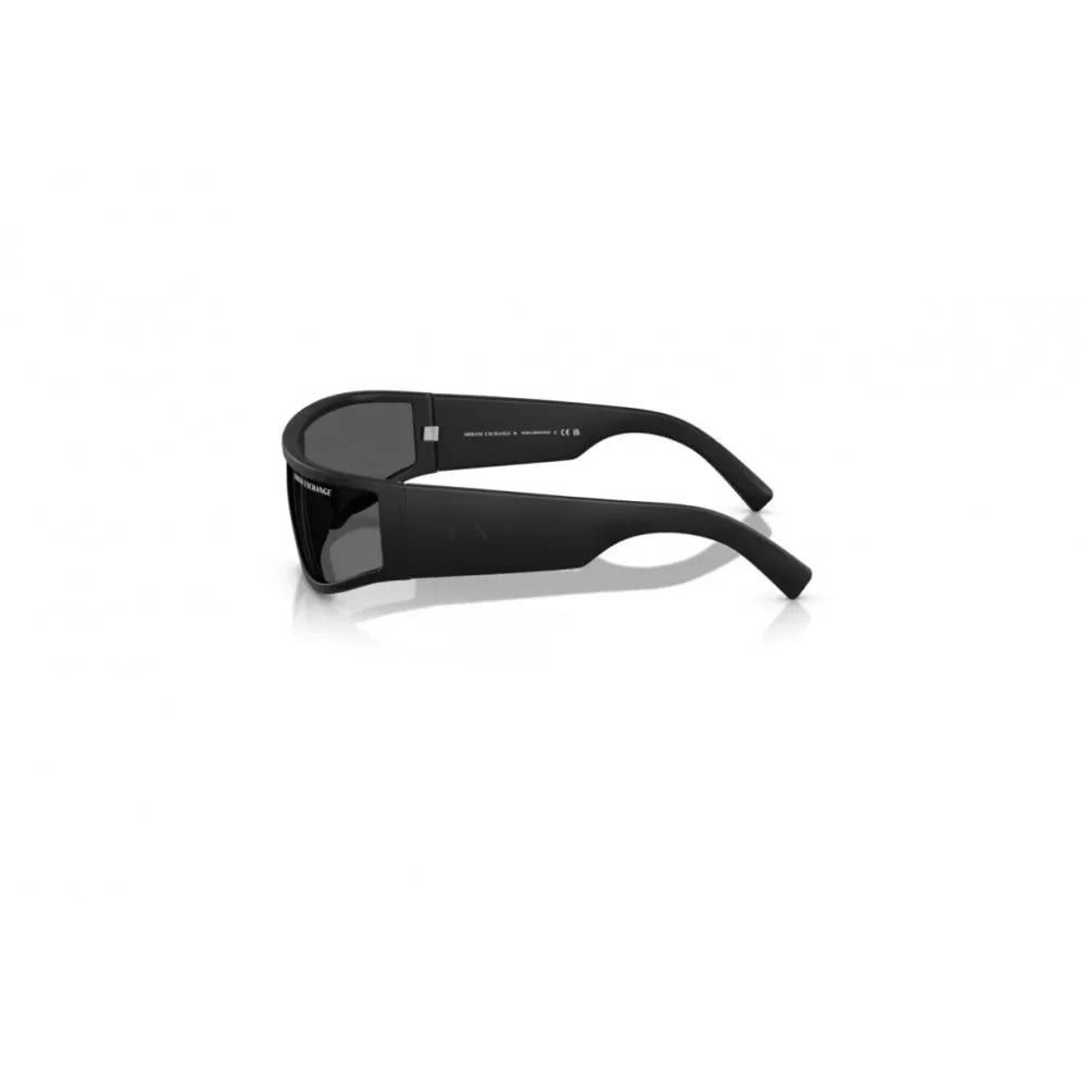 Γυαλιά ηλίου Armani Exchange AX 4153SU
