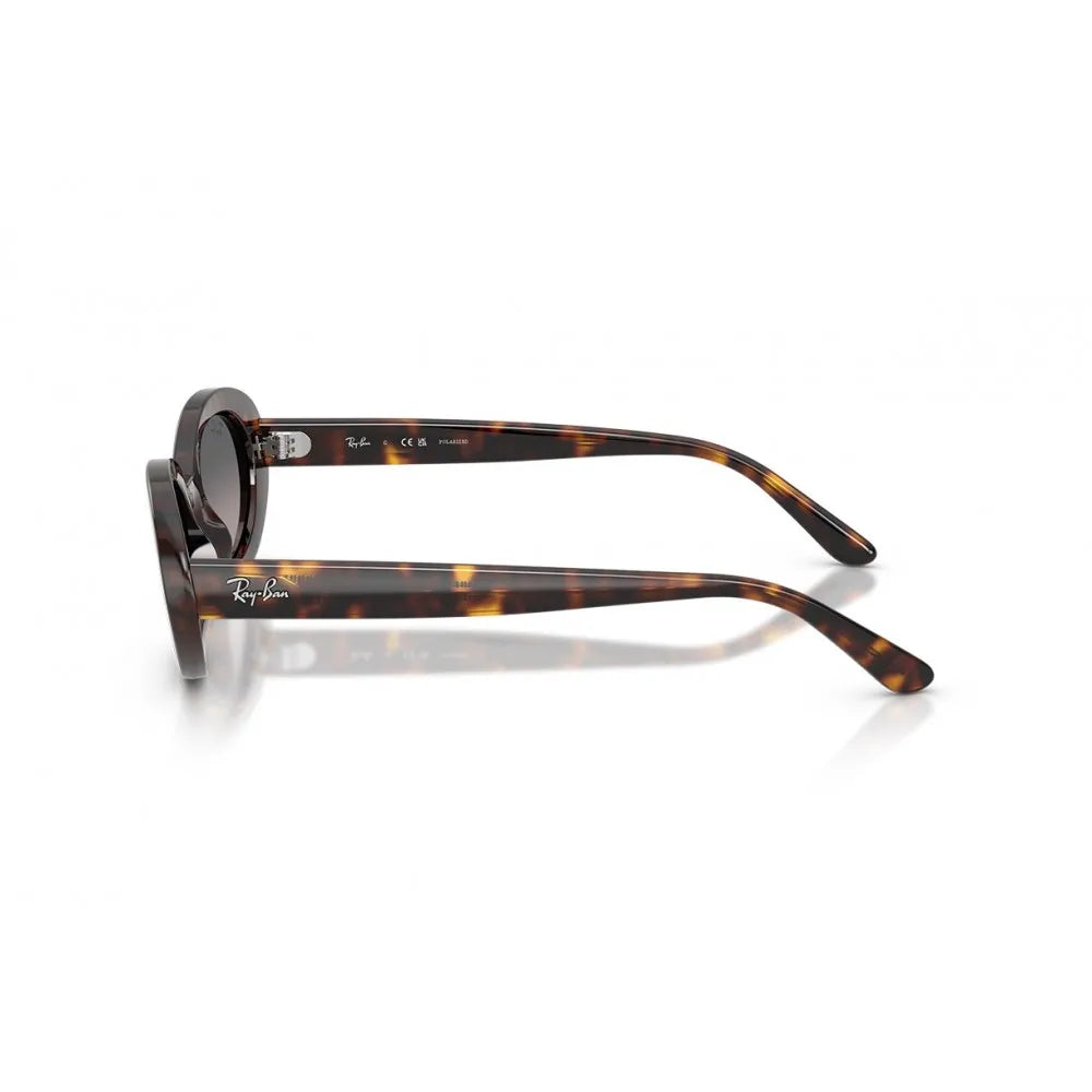 Ray Ban RB 2223