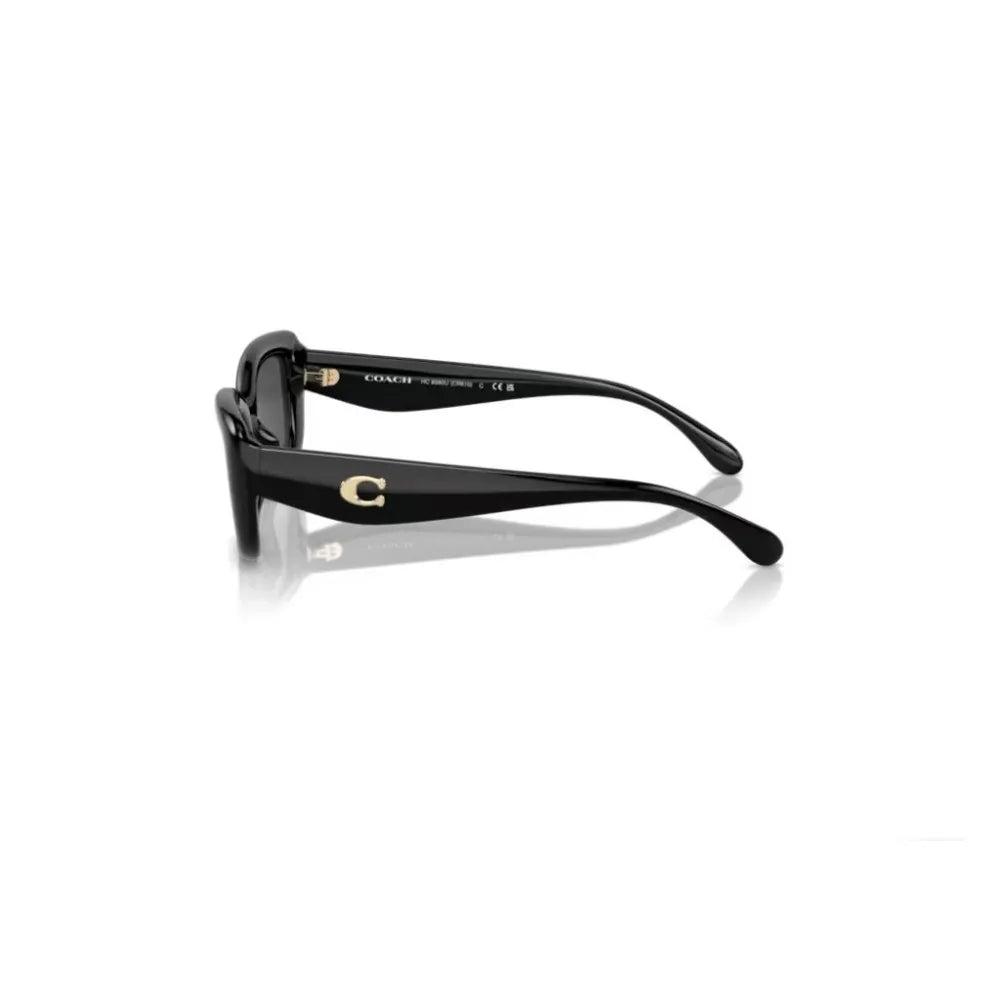 Γυαλιά ηλίου Coach HC 8390U