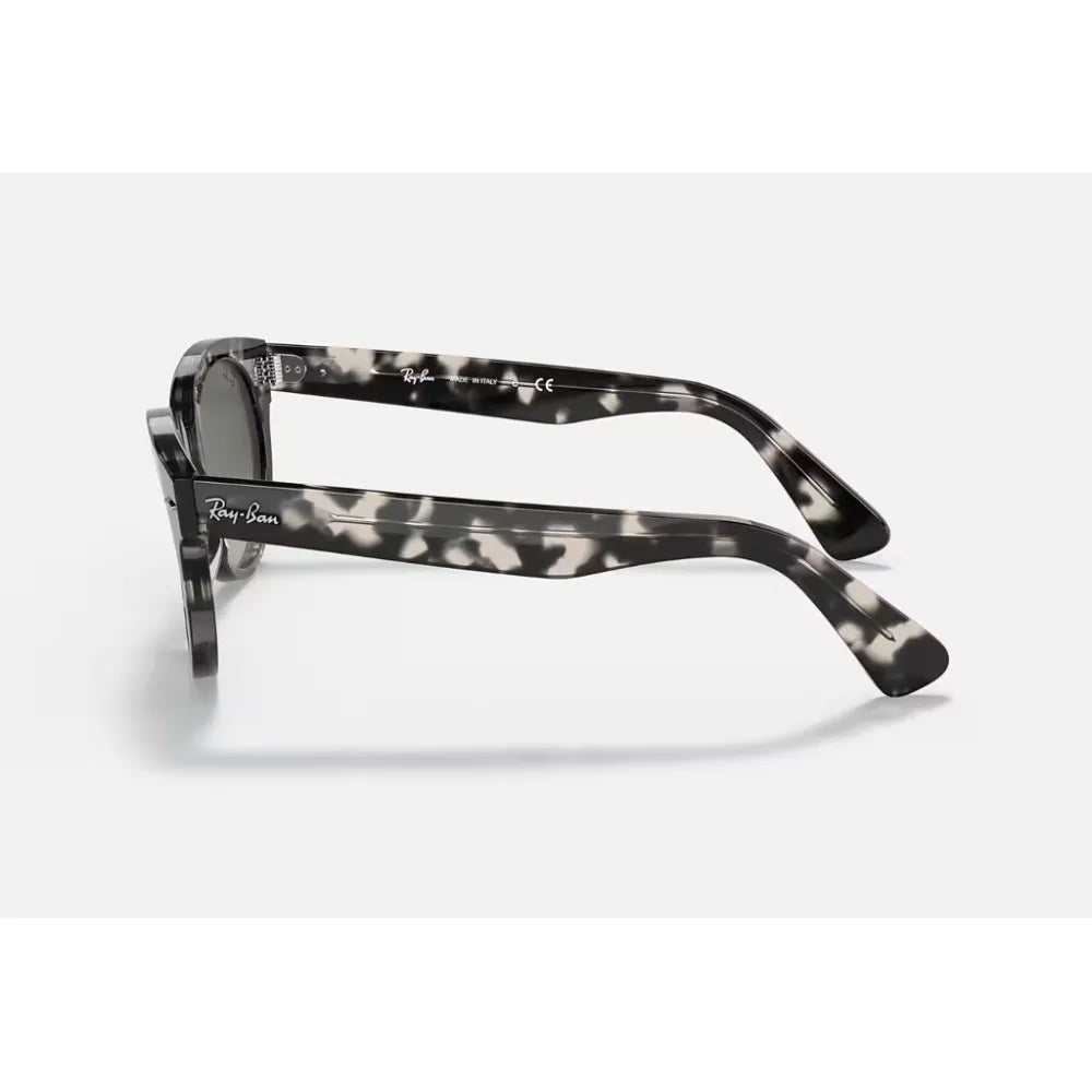 Γυαλιά ηλίου Ray Ban RB 2199 Orion