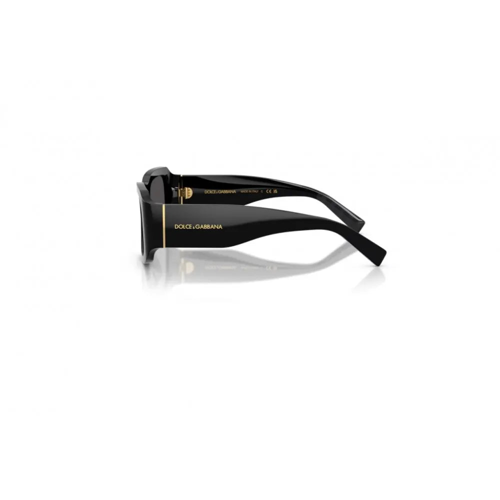 Γυαλιά ηλίου Dolce Gabbana DG 4503