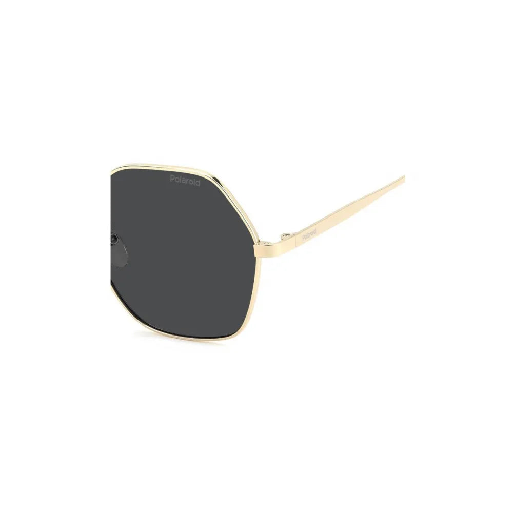 Polaroid PLD 4205/G/S/X Polarized Γυαλιά Ηλίου