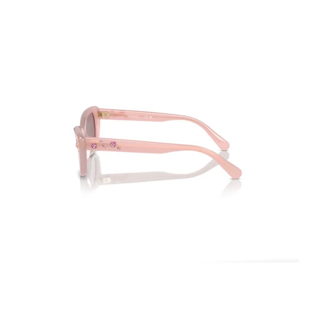 Γυαλιά ηλίου Swarovski SK 6019