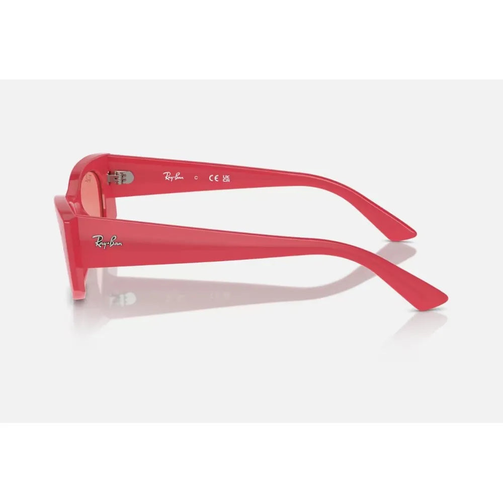 Γυαλιά ηλίου Ray Ban RB 4427 Kat