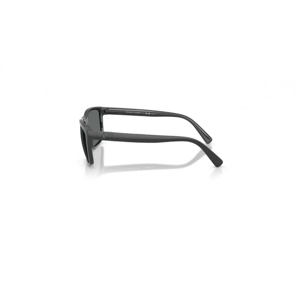 Γυαλιά ηλίου Polo Ralph Lauren PH 4133 Polarized
