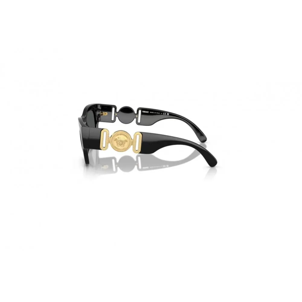 Γυαλιά ηλίου Versace VE 4479U