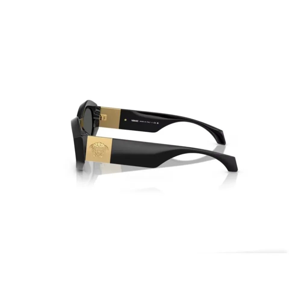 Γυαλιά ηλίου Versace VE 4466U