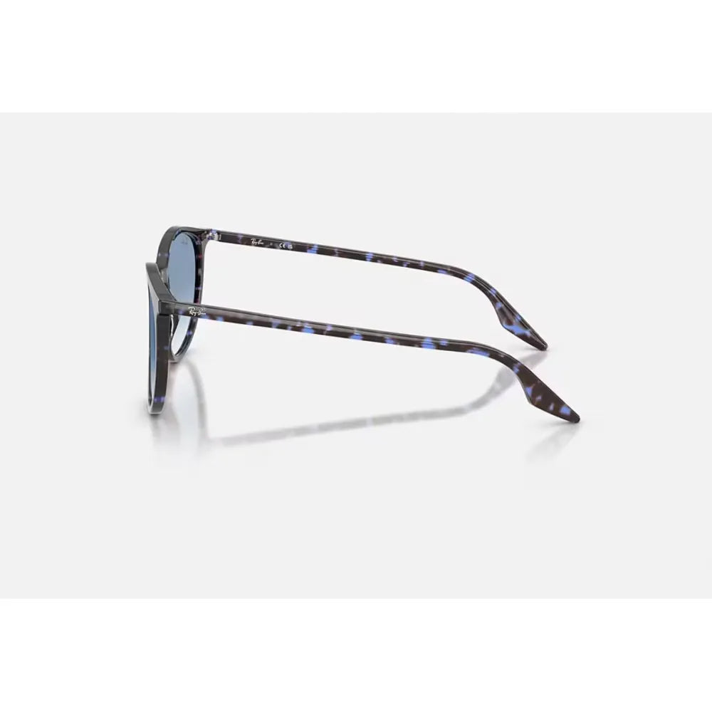 Γυαλιά ηλίου Ray Ban RB 2204