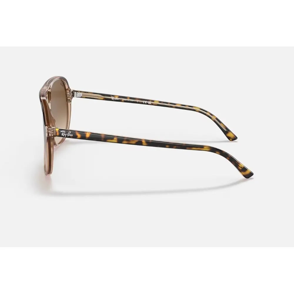 Γυαλιά ηλίου Ray Ban RB 2198 Bill
