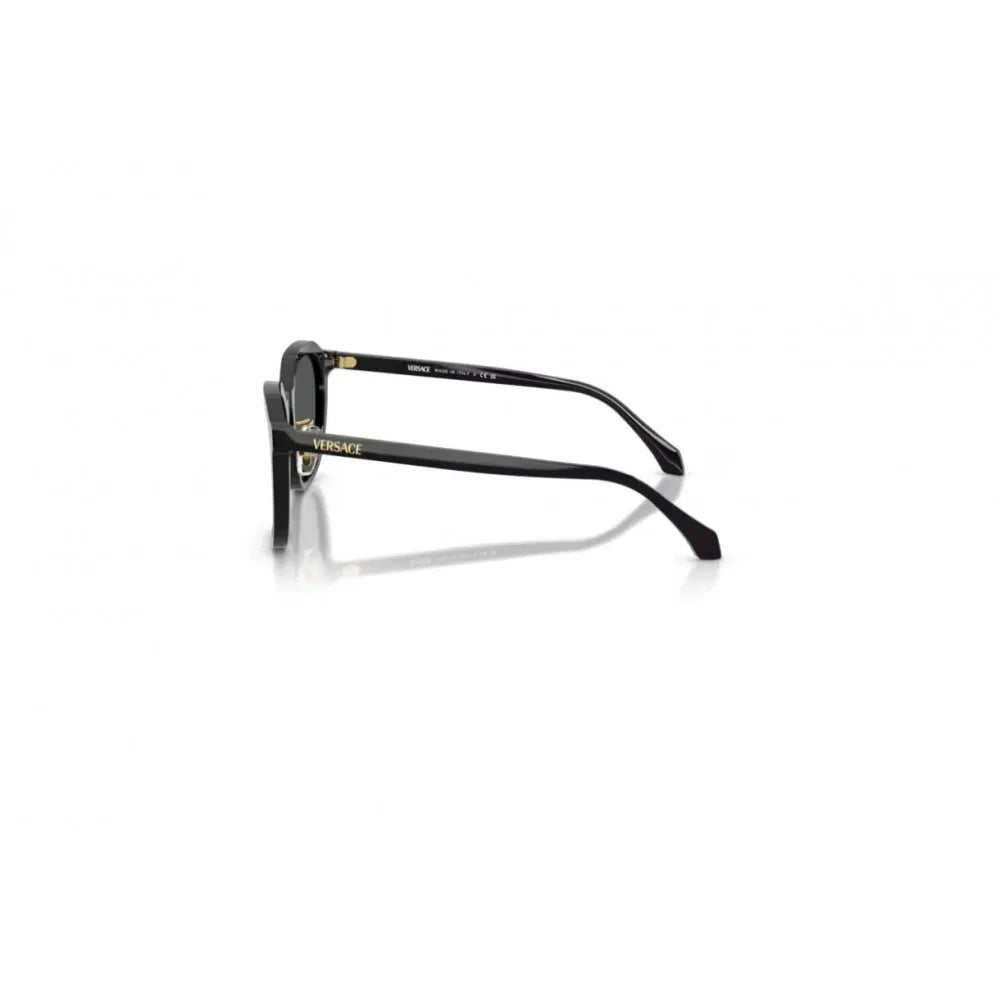 Γυαλιά ηλίου Versace VE 4493D