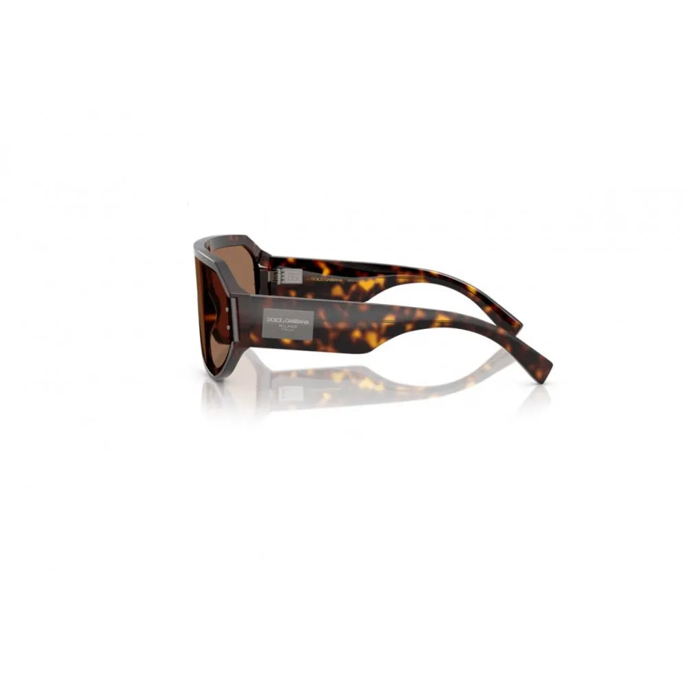 Γυαλιά ηλίου Dolce Gabbana DG 4481