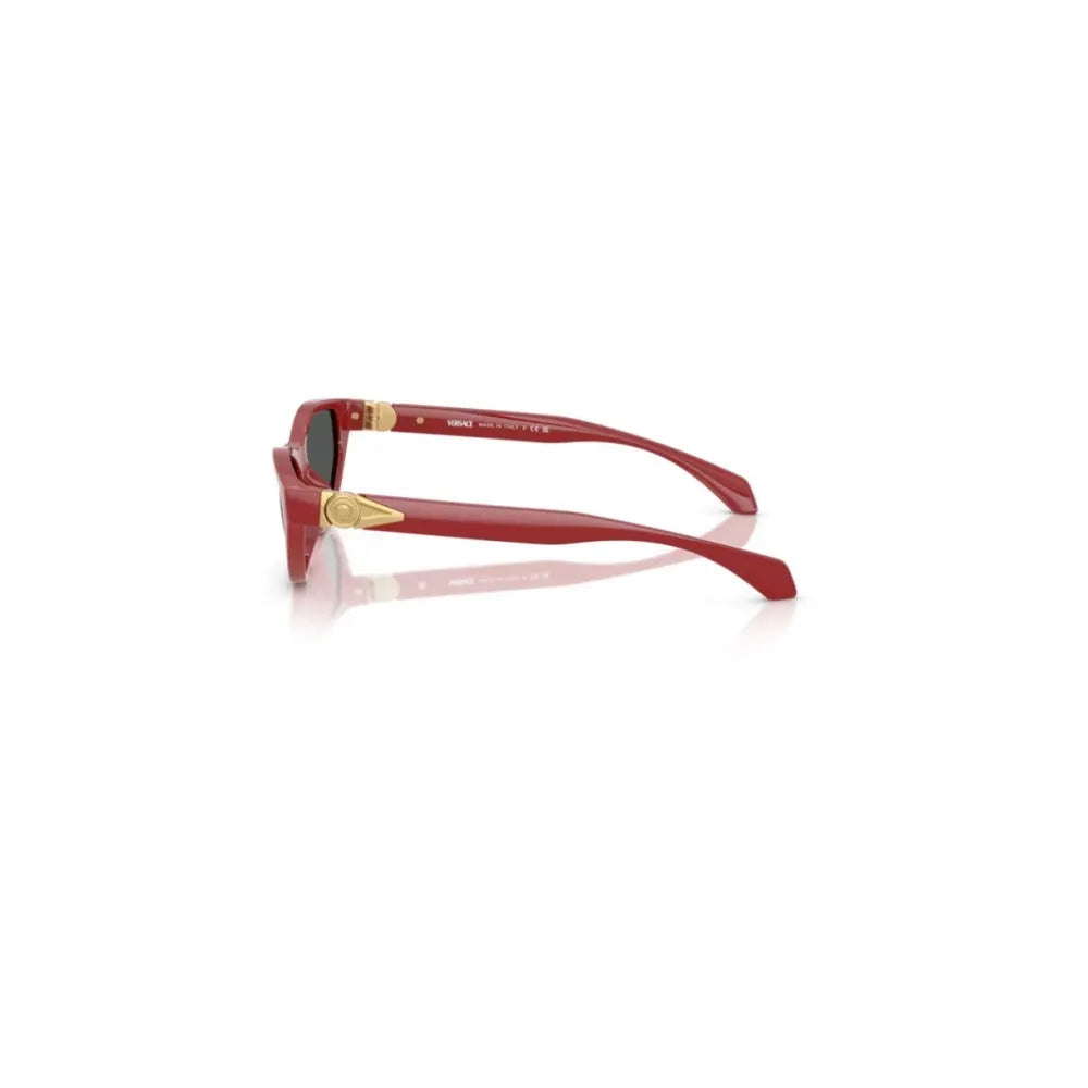 Γυαλιά ηλίου Versace VE 4491U