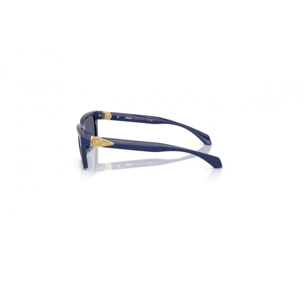 Γυαλιά ηλίου Versace VE 4490U