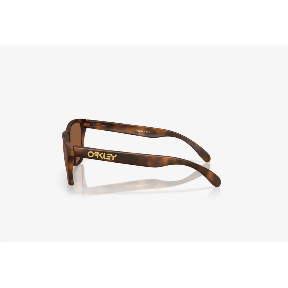 Eφηβικά Γυαλιά ηλίου Oakley OO 9508  Frogskins S Prizm Tungsten