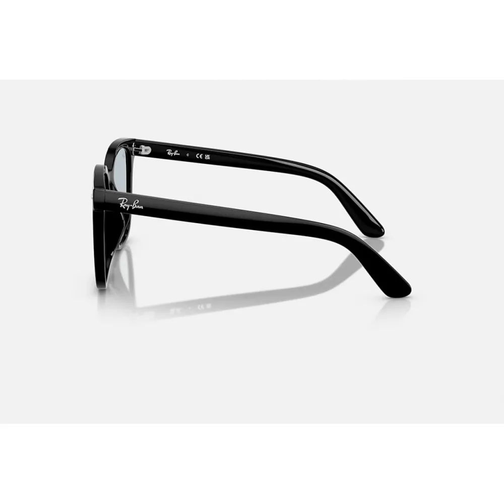 Γυαλιά ηλίου Ray Ban RB 4401D