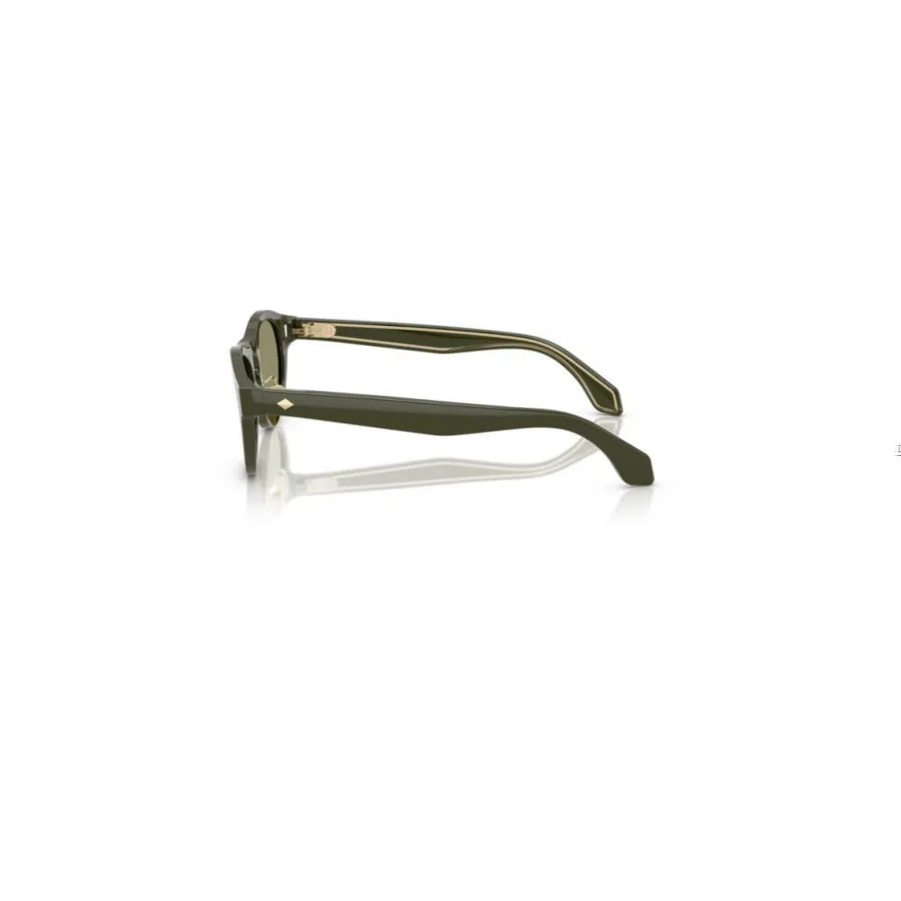 Γυαλιά ηλίου Giorgio Armani AR 8225