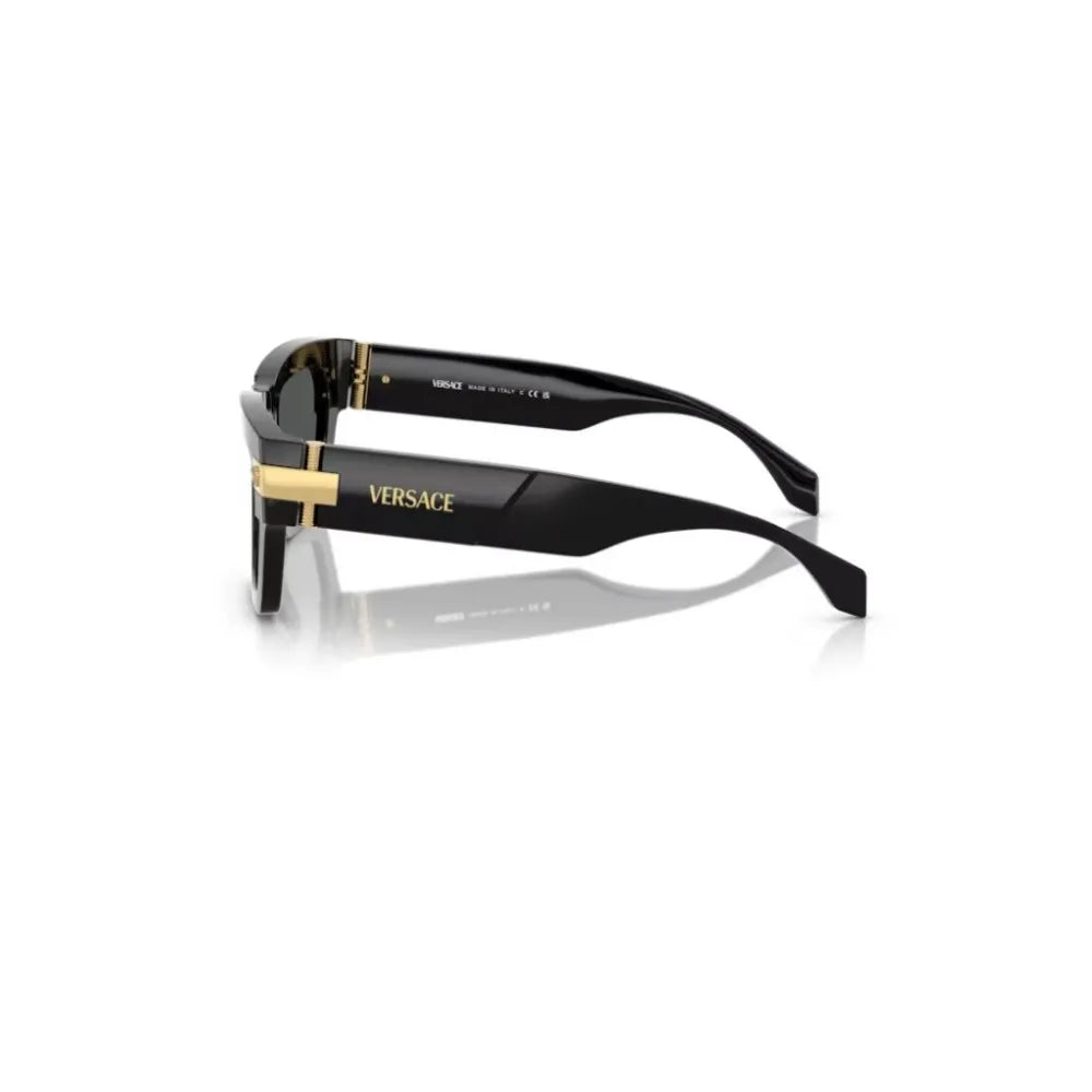 Γυαλιά ηλίου Versace VE 4464
