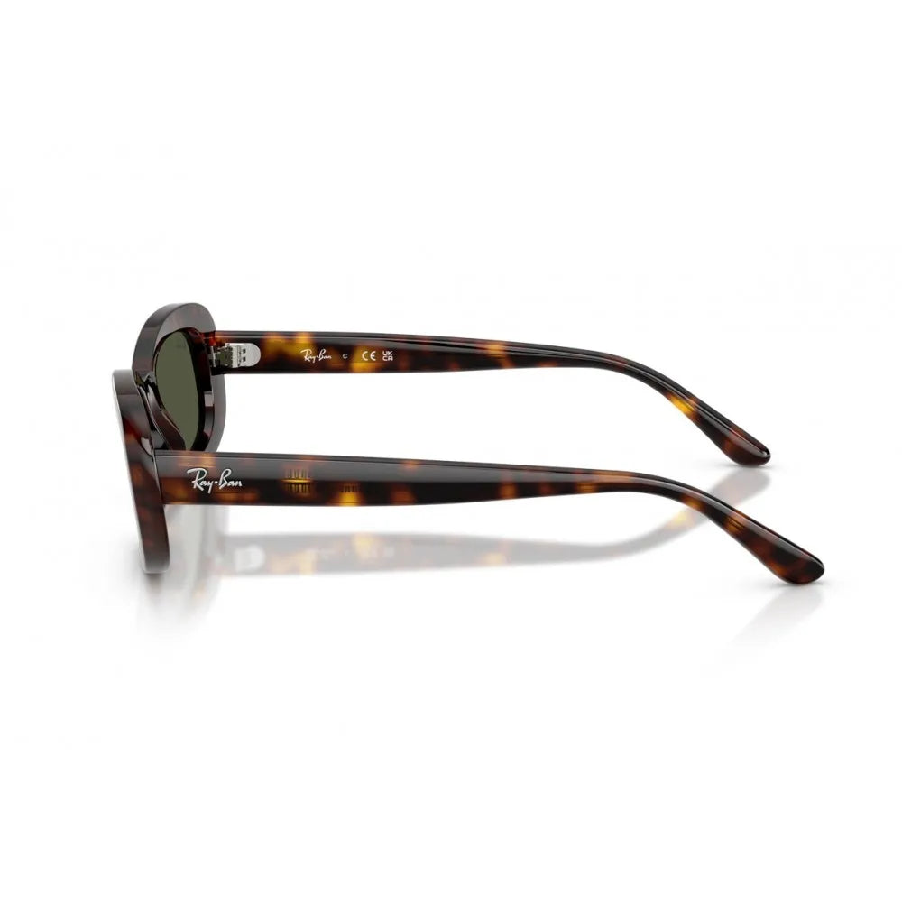Γυαλιά ηλίου Ray Ban RB 2221