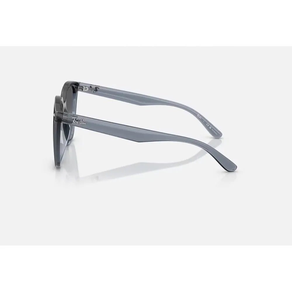 Γυαλιά ηλίου Ray Ban RB 4423D Polarized