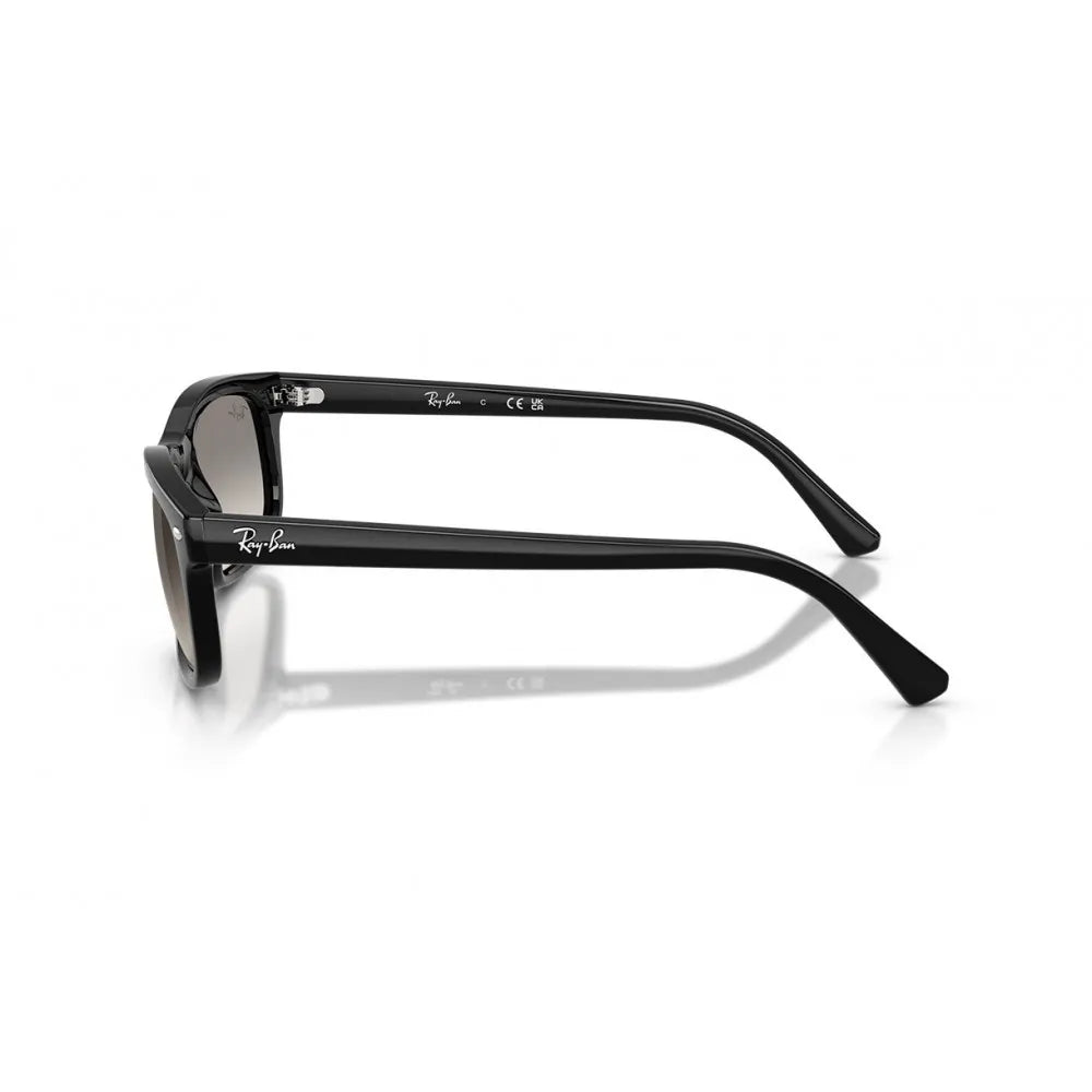 Ray Ban RB 2224
