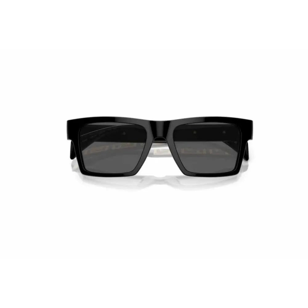 Γυαλιά ηλίου Versace VE 4445