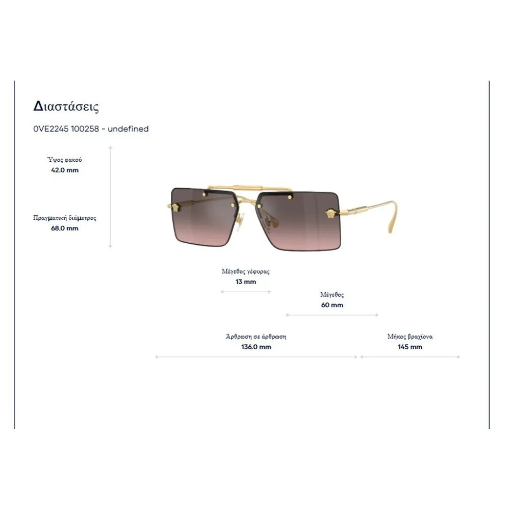 Γυαλιά ηλίου Versace VE 2245