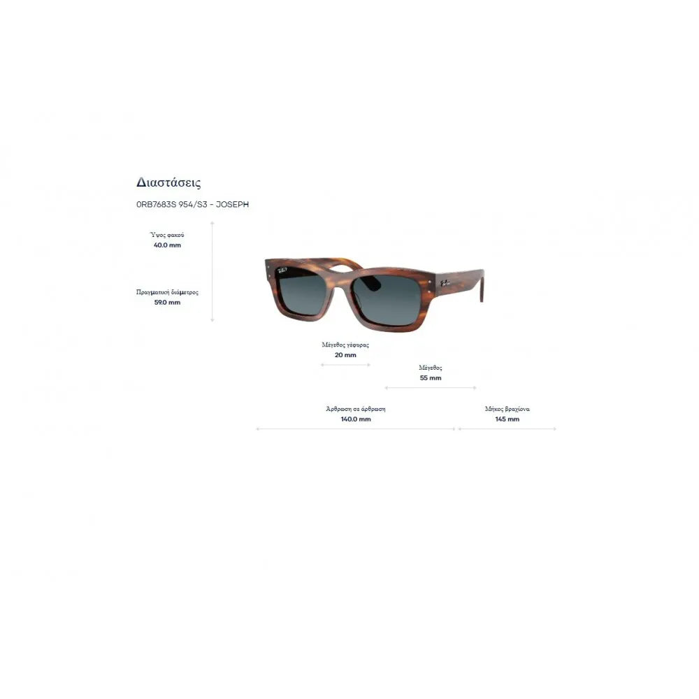 Γυαλιά ηλίου Ray Ban RB 7683S Joseph