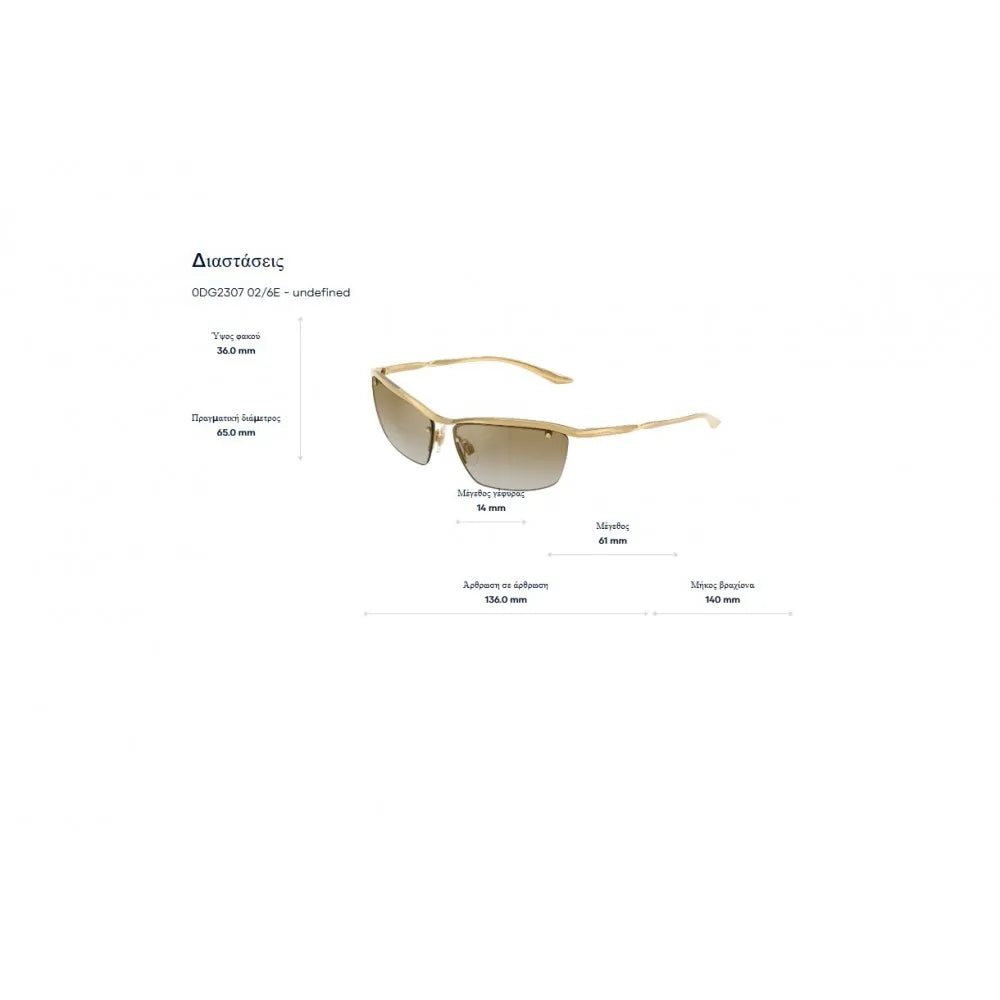 Γυαλιά ηλίου Dolce Gabbana DG 2307