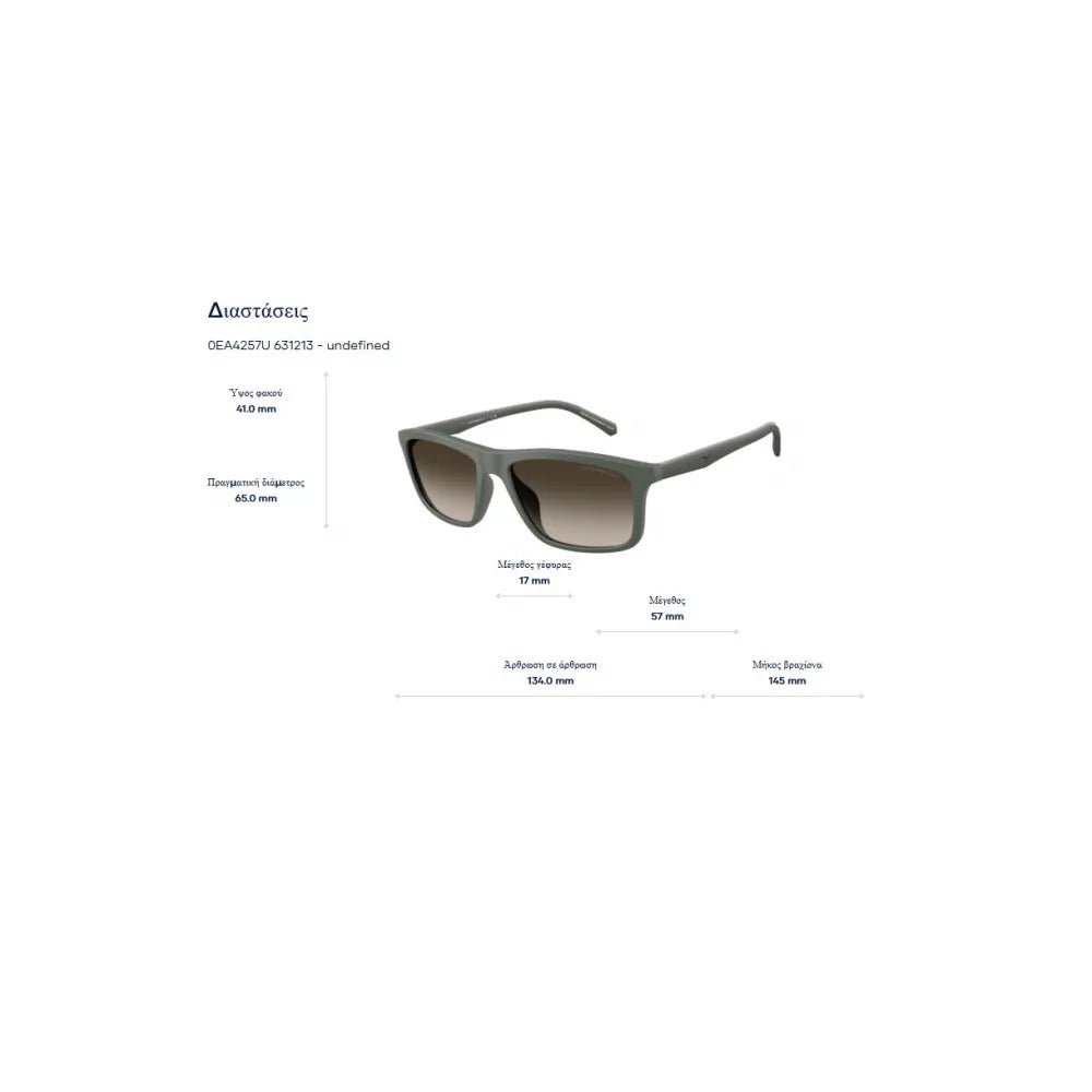 Emporio Armani EA 4257U Γυαλιά Ηλίου