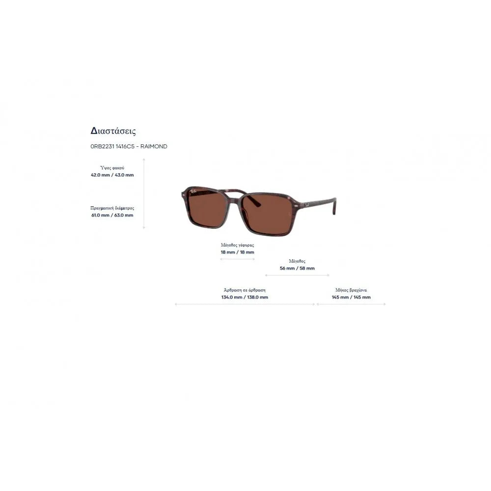 Γυαλιά ηλίου Ray Ban RB 2231 Raimond