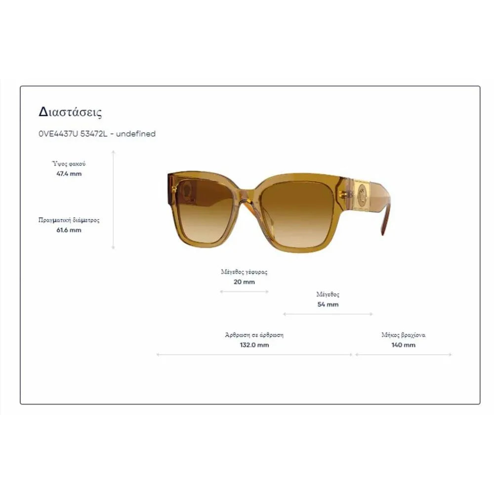 Γυαλιά ηλίου Versace VE 4437U