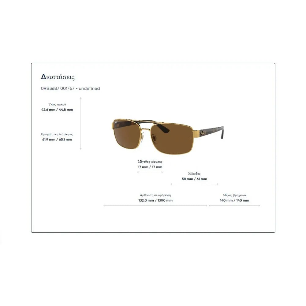 Γυαλιά ηλίου Ray Ban RB 3687
