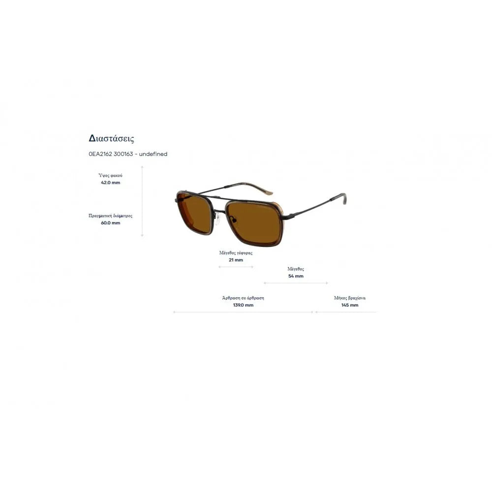 Γυαλιά ηλίου Emporio Armani EA 2162