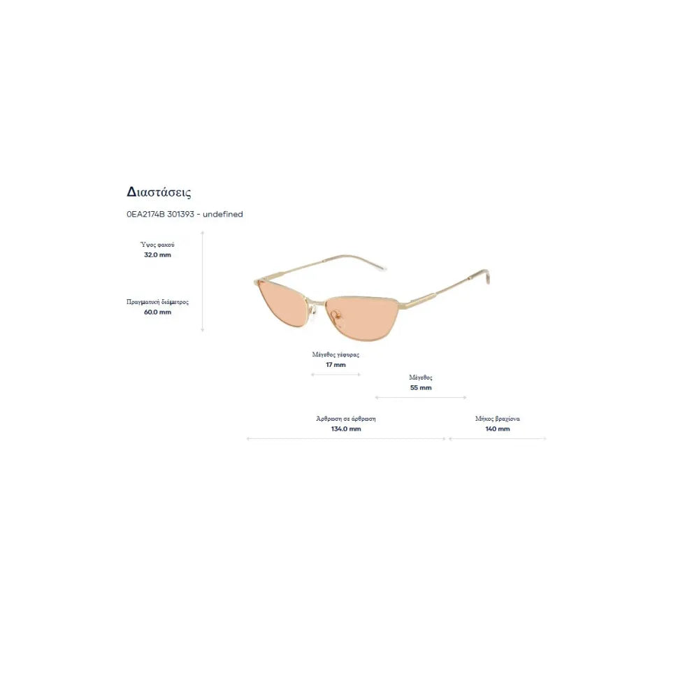 Emporio Armani EA 2174B Γυαλιά Ηλίου