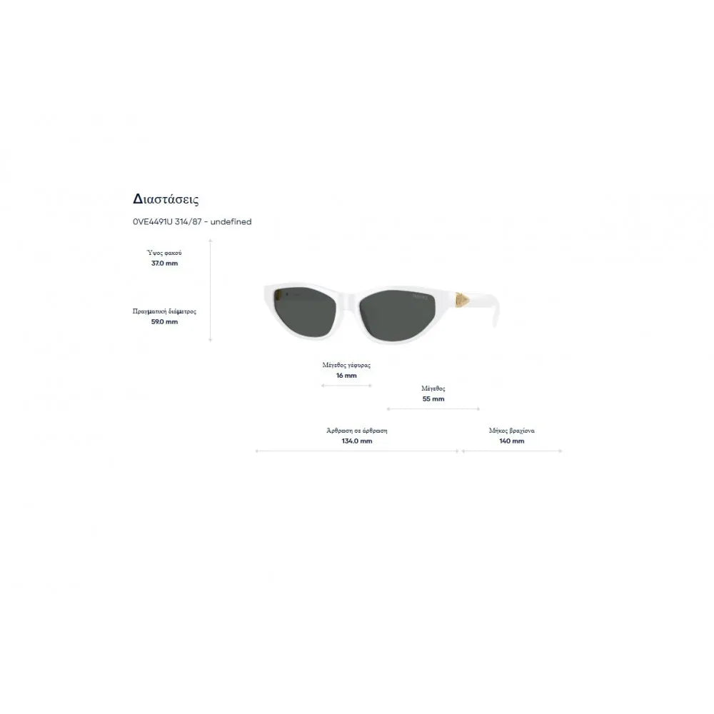 Γυαλιά ηλίου Versace VE 4491U