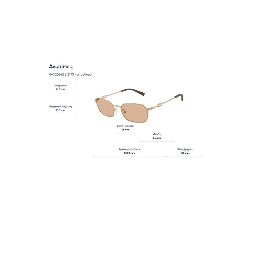 Armani Exchange AX 2056S Γυαλιά Ηλίου