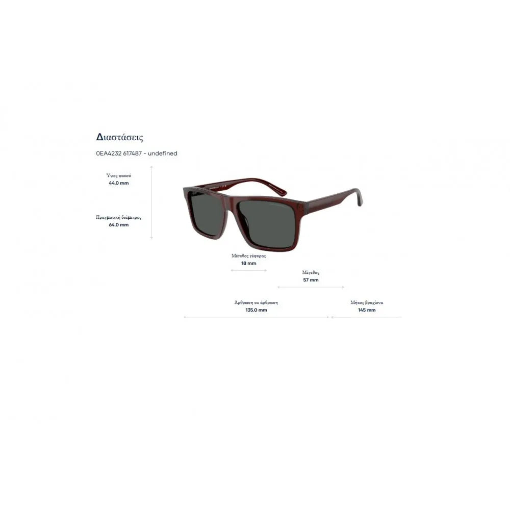 Γυαλιά ηλίου Emporio Armani EA 4232