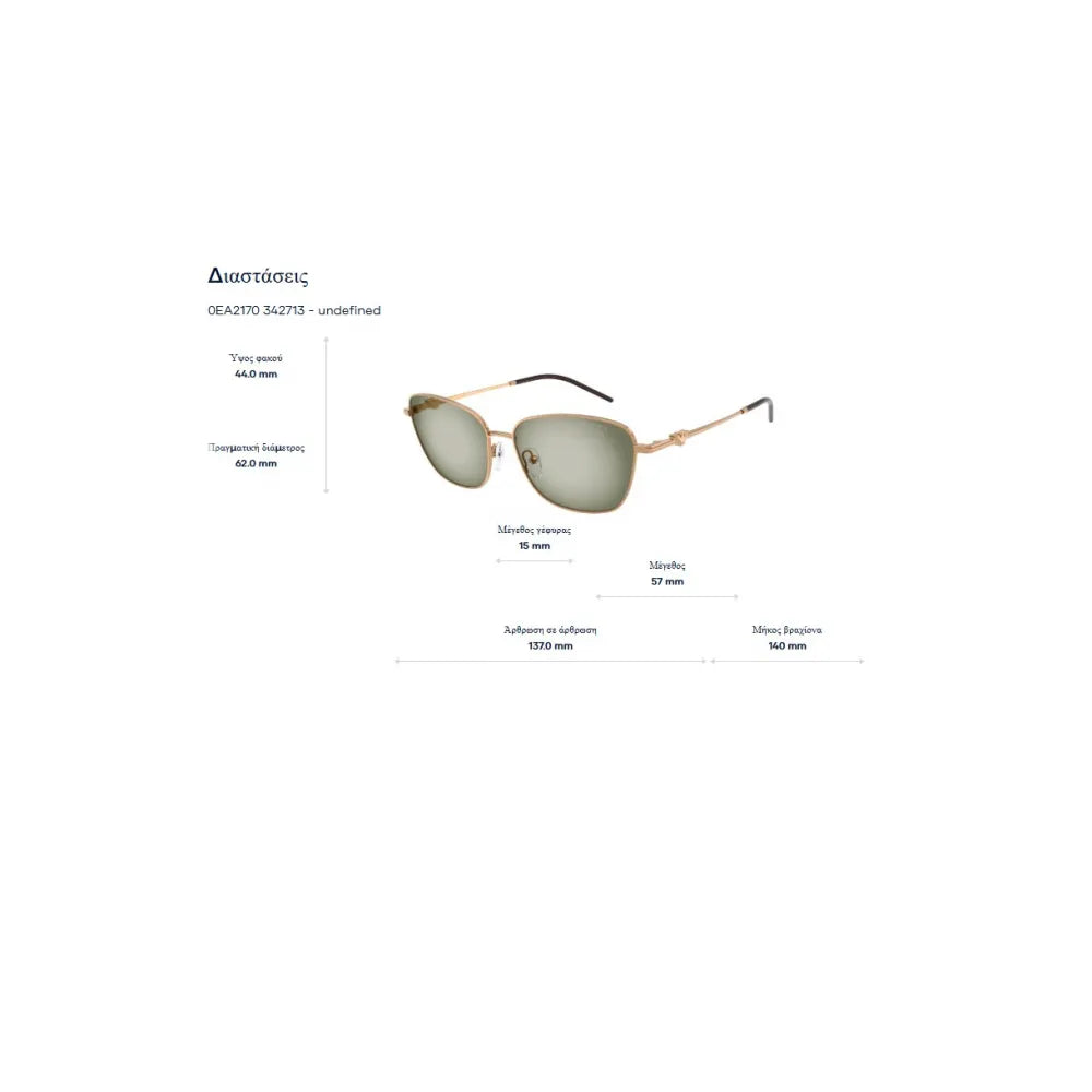 Emporio Armani EA 2170 Γυαλιά Ηλίου