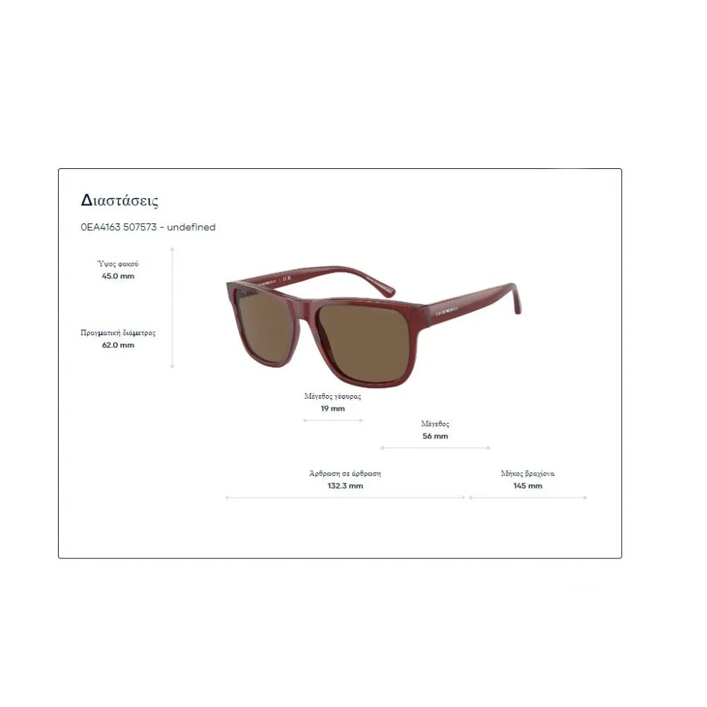 Γυαλιά ηλίου Emporio Armani EA 4163 Polarized