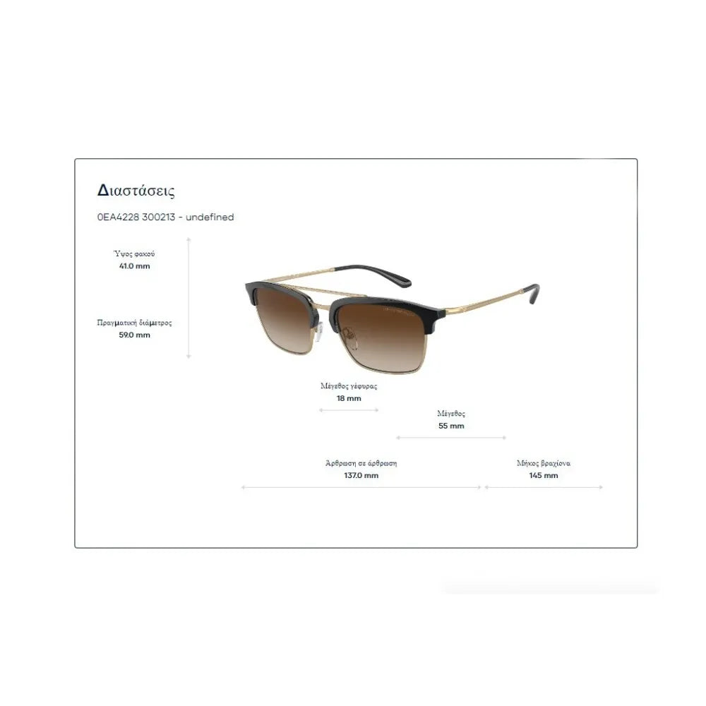 Γυαλιά ηλίου Emporio Armani EA 4228