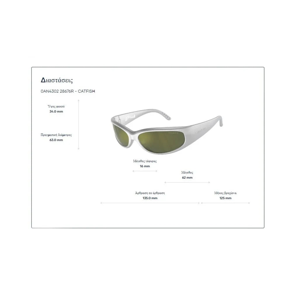 Γυαλιά ηλίου Arnette AN 4302 Catfish