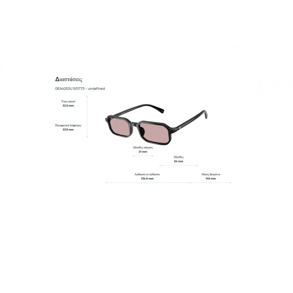 Γυαλιά ηλίου Emporio Armani EA 4253U