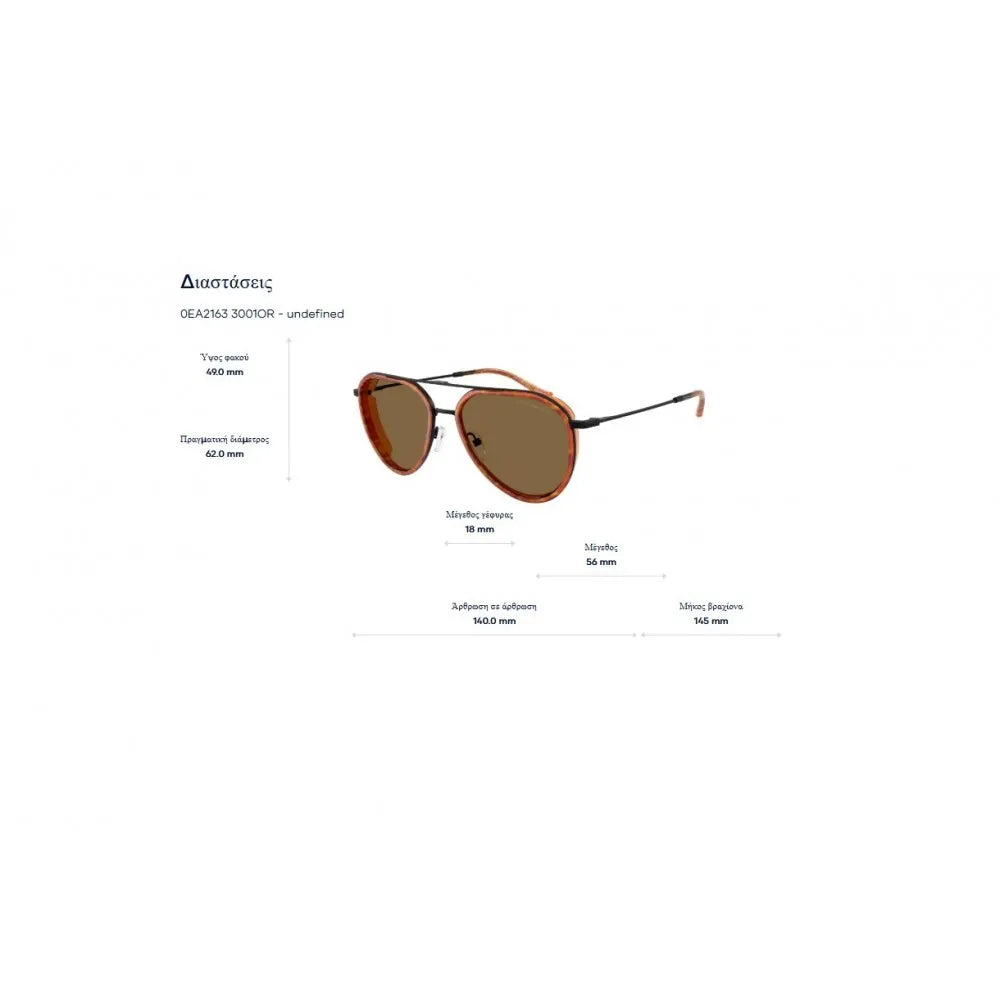 Γυαλιά ηλίου Emporio Armani EA 2163