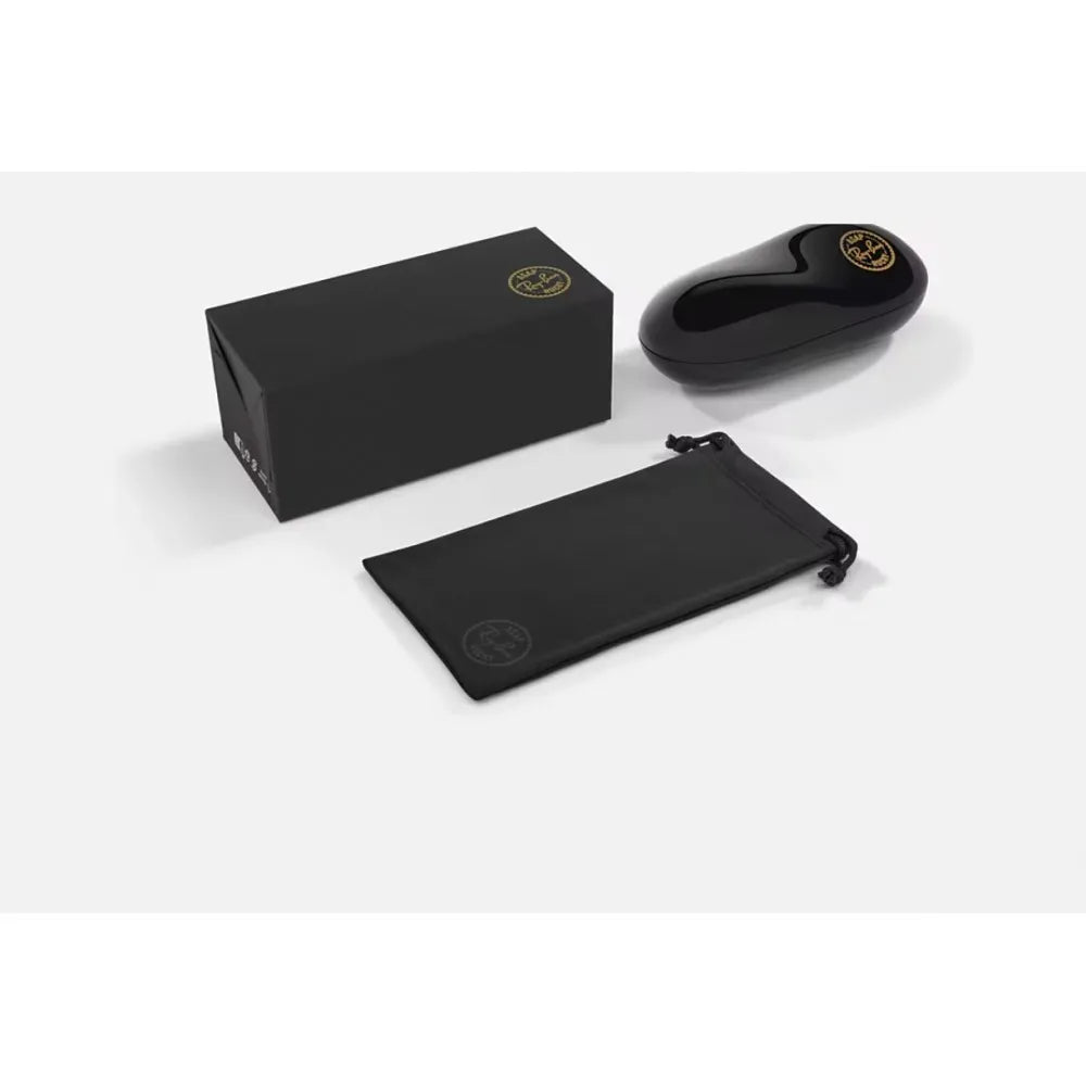 Γυαλιά ηλίου Ray Ban RB 4940B Wayfarer puffer A$AP Rocky x Ray-Ban Collection
