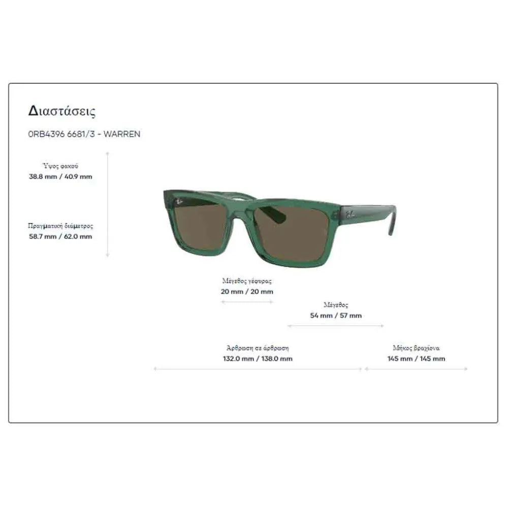 Γυαλιά ηλίου Ray Ban RB 4396 Warren