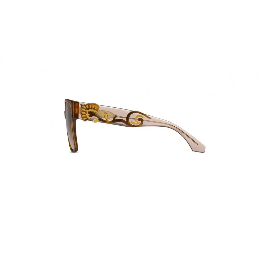Γυαλιά ηλίου ETRO ETRO 0104/S