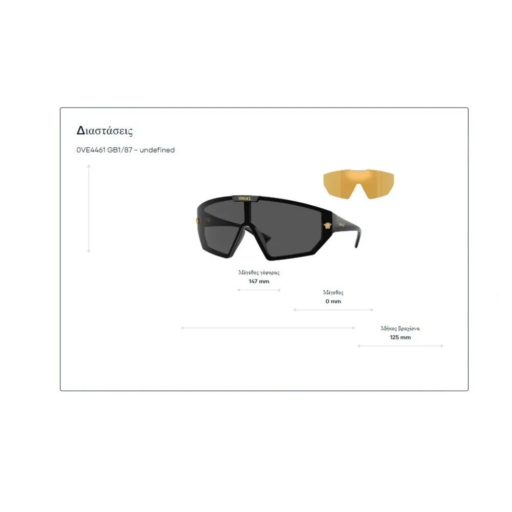 Γυαλιά ηλίου Versace VE 4461 + Extra Lense