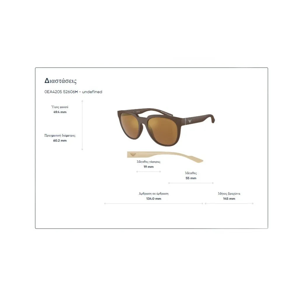 Γυαλιά ηλίου Emporio Armani EA 4205 + Βραχίονες